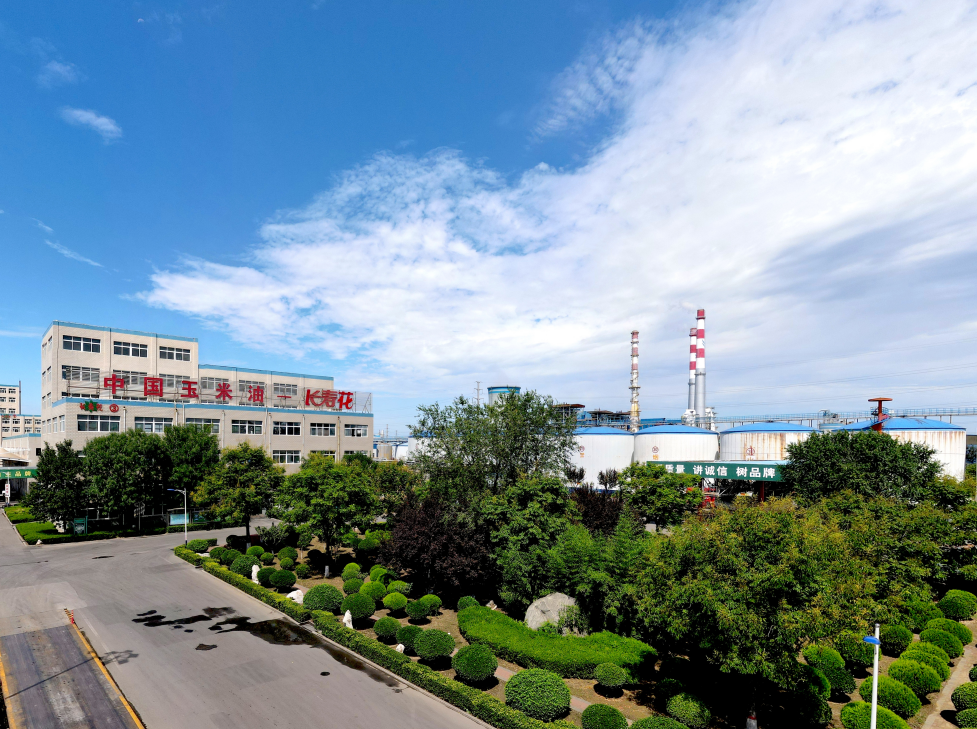 這些屬于長壽花的關(guān)鍵詞標(biāo)簽，你了解嗎