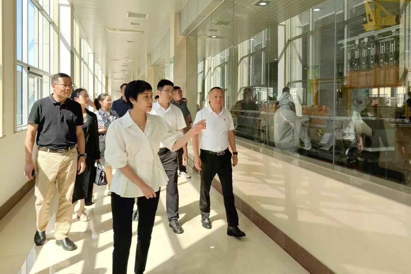 桐廬縣委副書記、縣長張蕙娜到桐廬玉米產(chǎn)業(yè)公司走訪調(diào)研