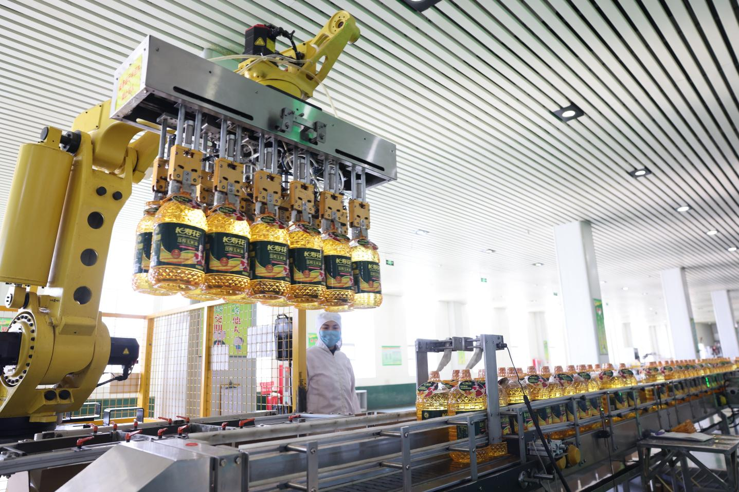 長壽花食品：定向發(fā)力夯實生產管控 創(chuàng)新驅動激活生產效能