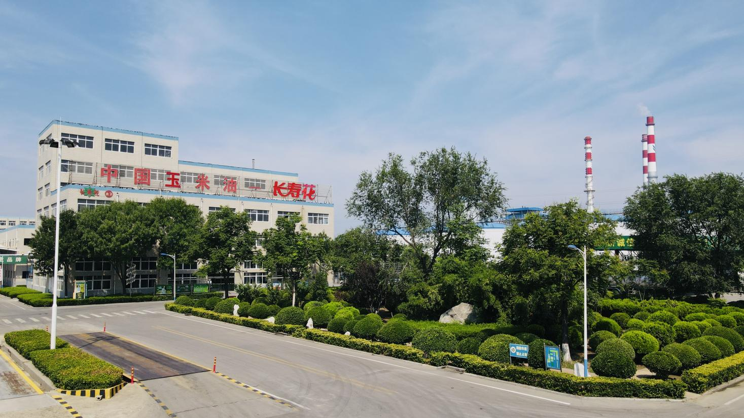 創(chuàng)新驅(qū)動(dòng) 產(chǎn)權(quán)護(hù)航｜長(zhǎng)壽花食品通過知識(shí)產(chǎn)權(quán)管理體系監(jiān)督審核