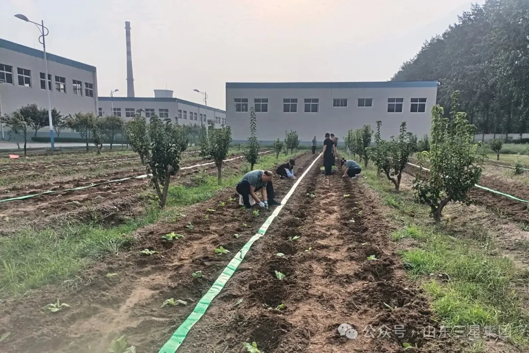 【文韻三星】又是一年播種季 共待收獲喜悅時(shí)