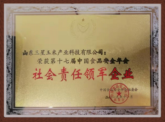第十七屆中國食品安全年會隆重舉行 山東三星集團(tuán)斬獲四項(xiàng)大獎(jiǎng)